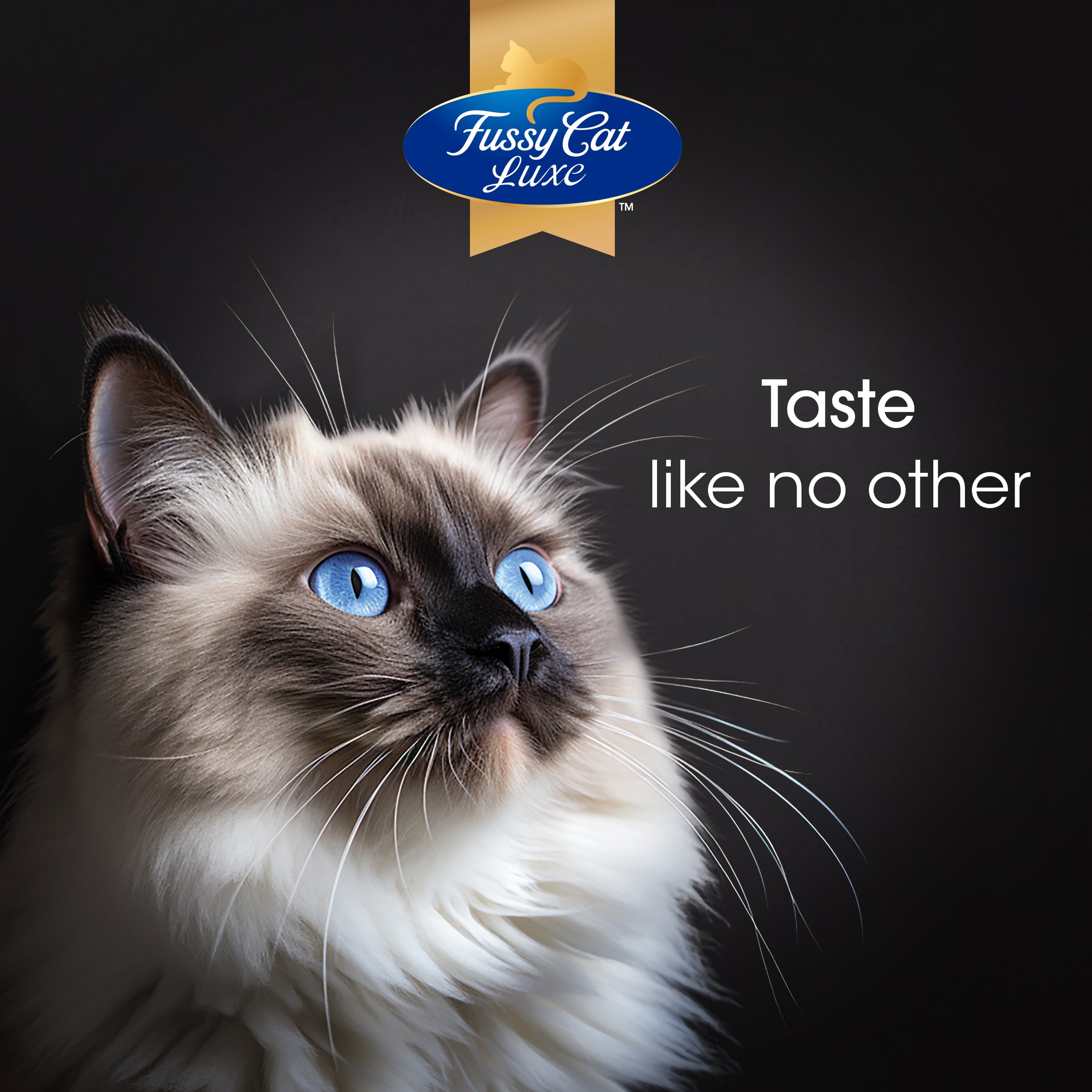 Fussy Cat Luxe Tuna Flakes in Decadent Gravy 12x70g