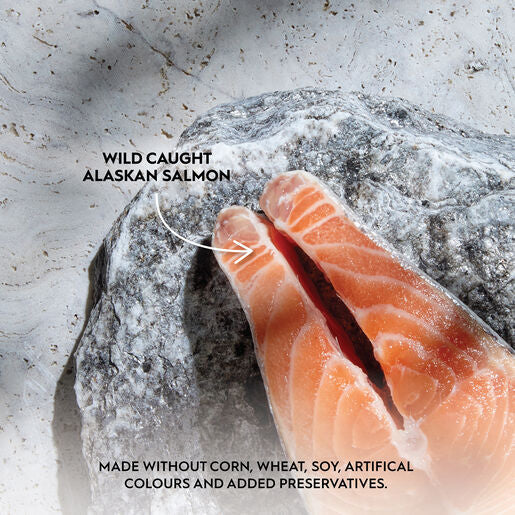 Trilogy™ Complete Prey™Adult Wet Cat Food Pâté Wild Alaskan Salmon 85g