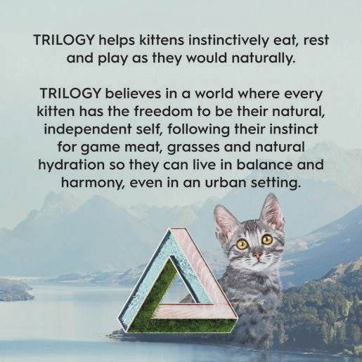 Trilogy™ Dry Kitten Food Barramundi & Tuna 1.2Kg