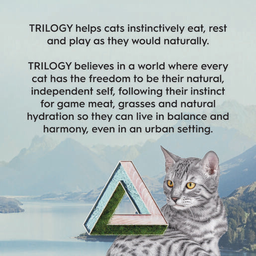 Trilogy™ Adult Dry Cat Food Barramundi 1.8Kg