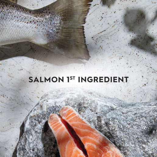 Trilogy™ Adult Dry Cat Food Salmon 1.8Kg
