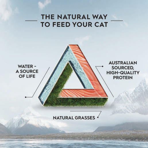 Trilogy™ Adult Dry Cat Food Salmon 1.8Kg