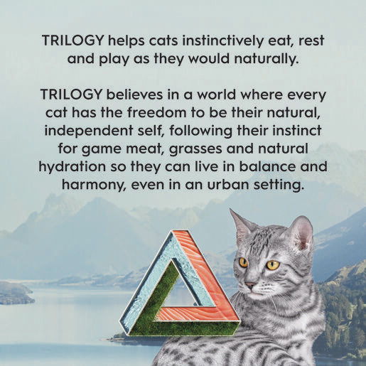 Trilogy™ Adult Dry Cat Food Salmon 1.8Kg