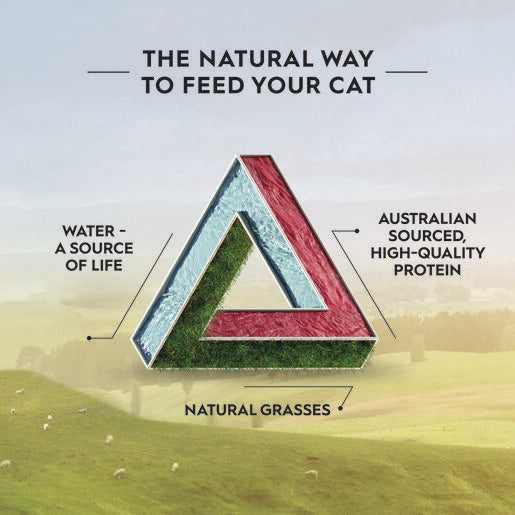 Trilogy™ Cat Treats Freeze Dried Lamb 50g