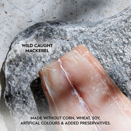 Trilogy™ Adult Wet Cat Food Wild Caught Mackerel In Bone Broth 85g