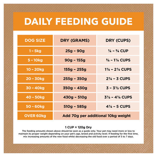 IVORY COAT Grain Free Adult Dry Dog Food Chicken 2kg