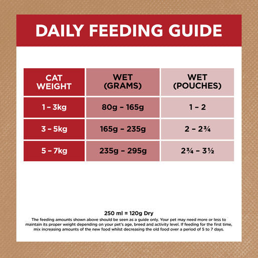 IVORY COAT Grain Free Adult Wet Cat Food Chicken, Beef & Lamb in Gravy 85g