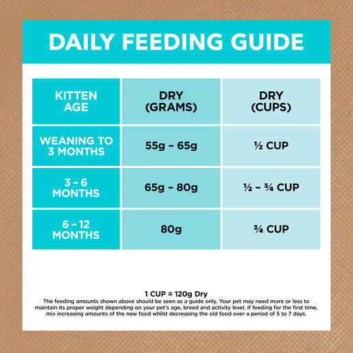 IVORY COAT Grain Free Dry Kitten Food Ocean Fish & Salmon 2kg