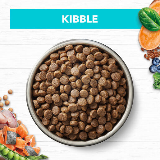 IVORY COAT Grain Free Dry Kitten Food Ocean Fish & Salmon 2kg