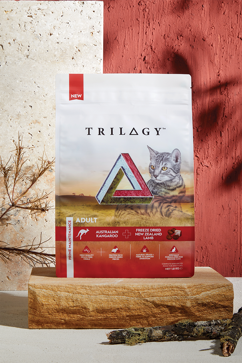 Our Story Real Pet Food Company our-story-real-pet-food-company