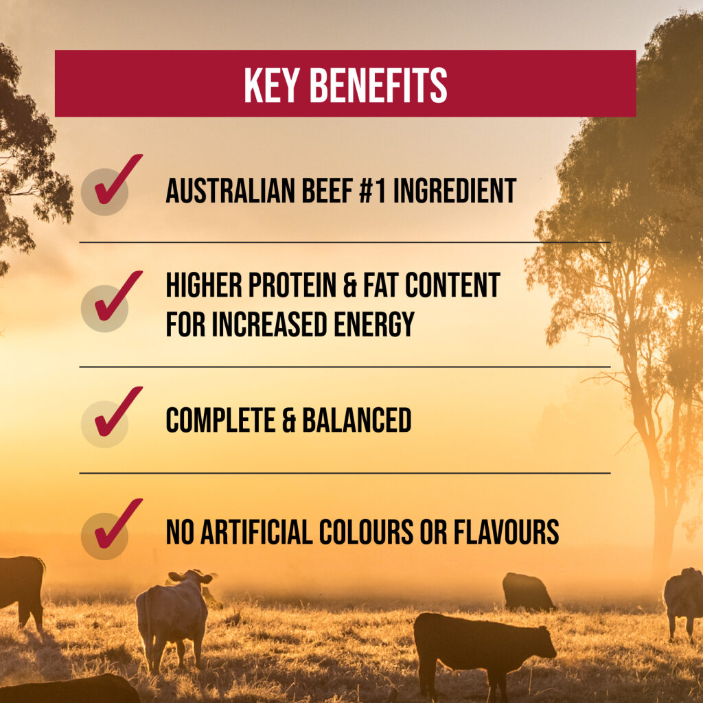 Stockman & Paddock Working Dog Aussie Beef Adult Dry Dog Food 20kg