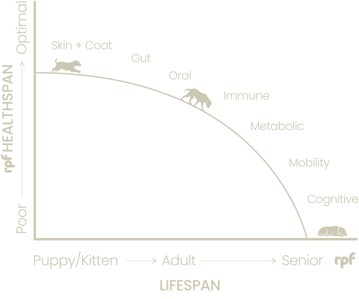 Lifespan