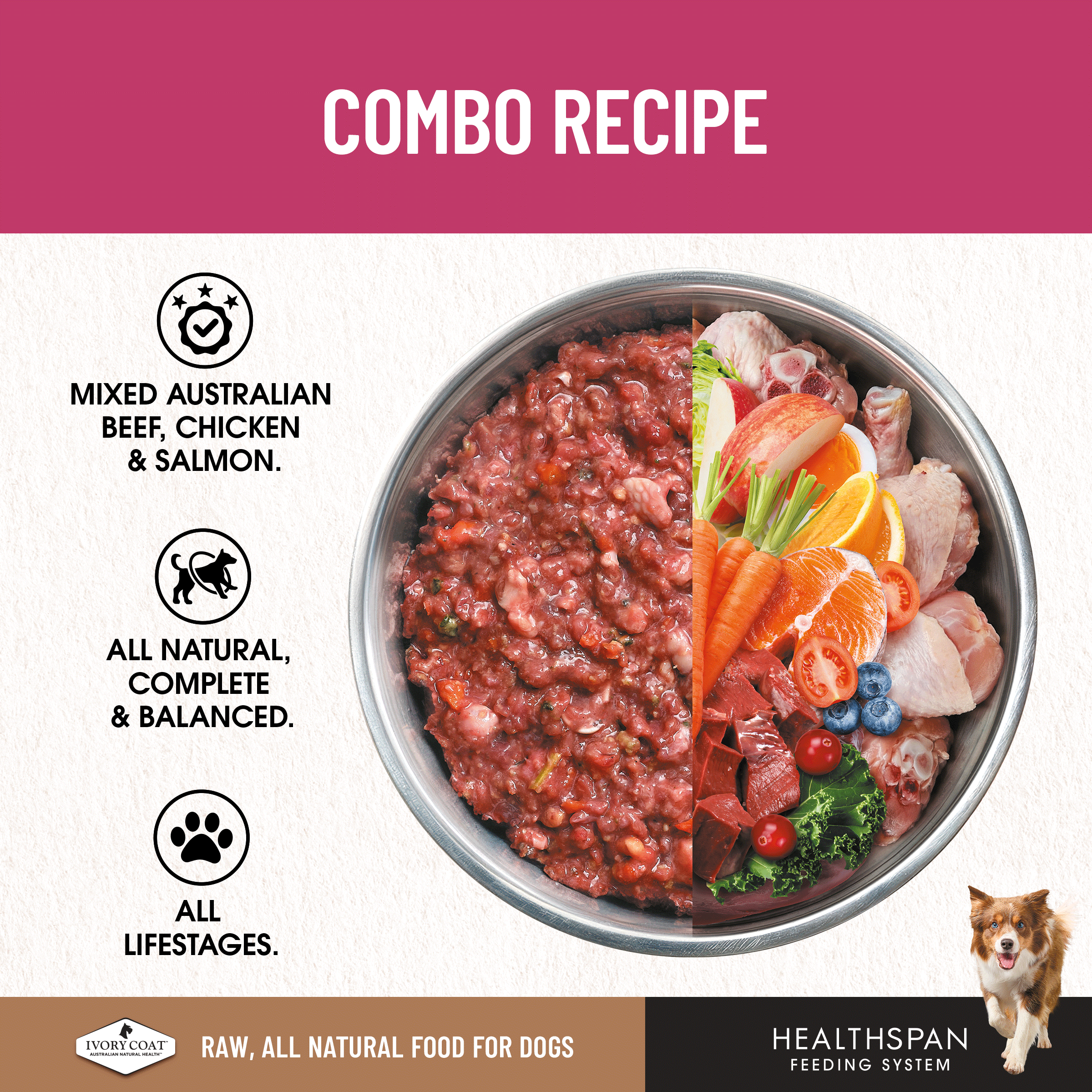 Ivory Coat Raw Diet Combo Recipe 12 x 227g