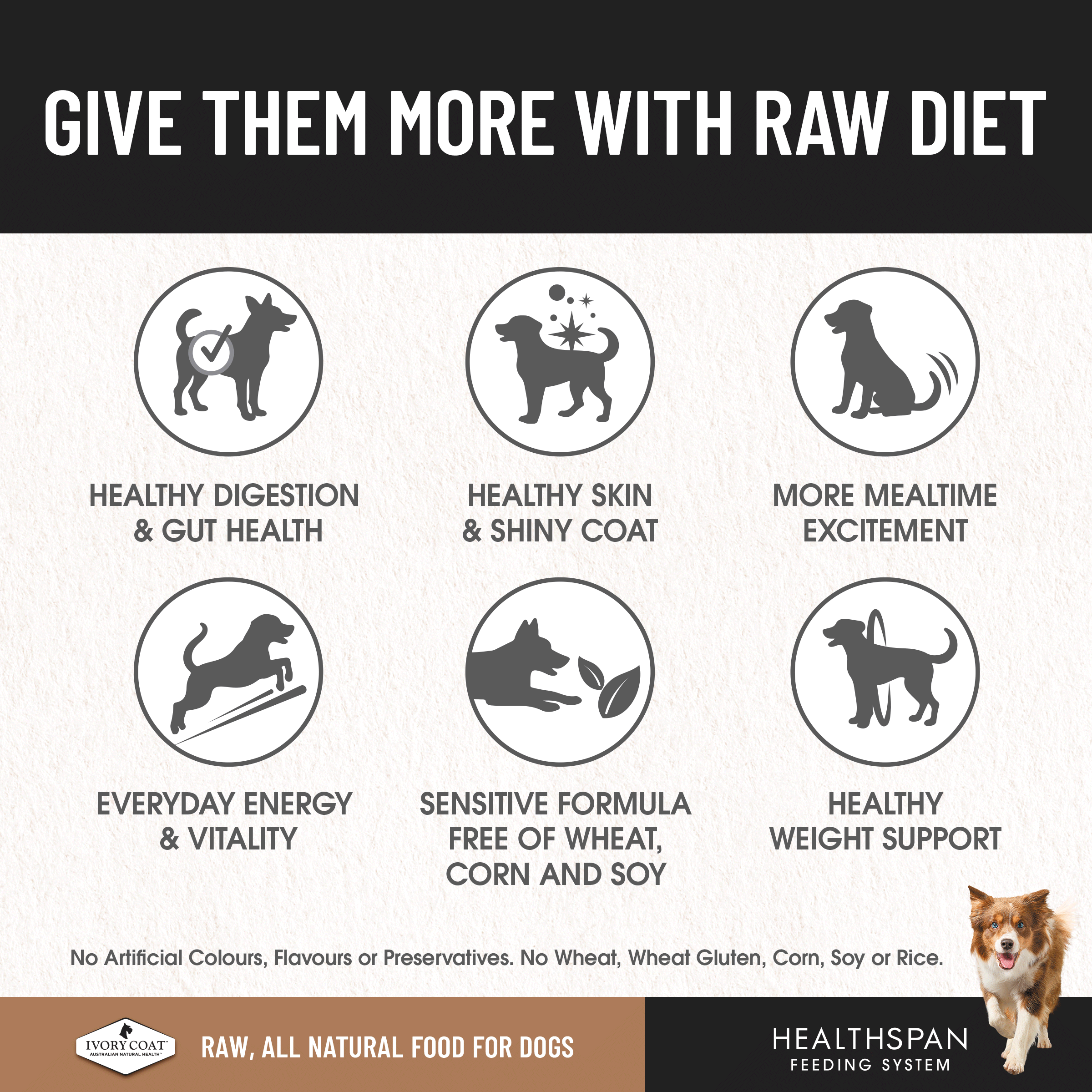 Ivory Coat Raw Diet Combo Recipe 12 x 227g