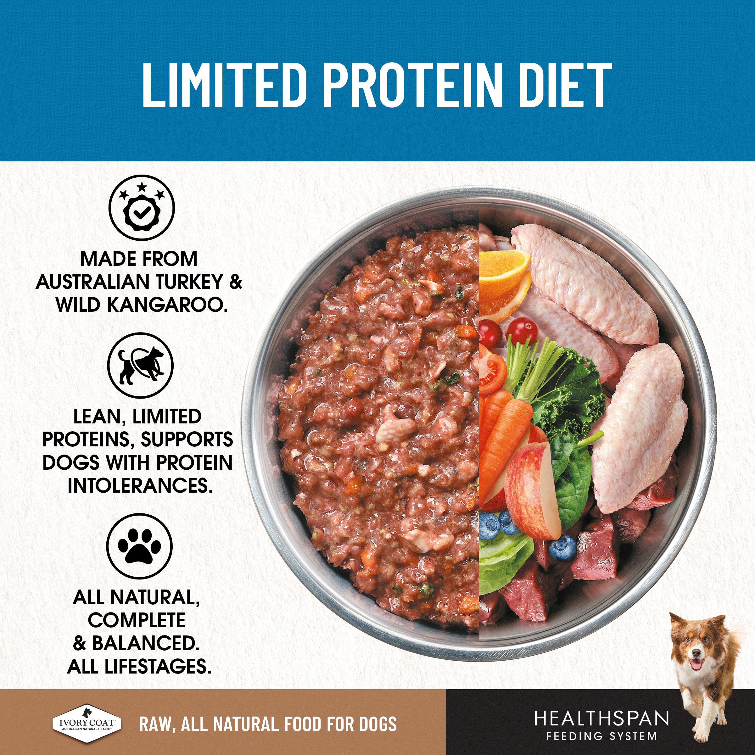 Ivory Coat Raw Diet Limited Protein Diet 12 x 227g