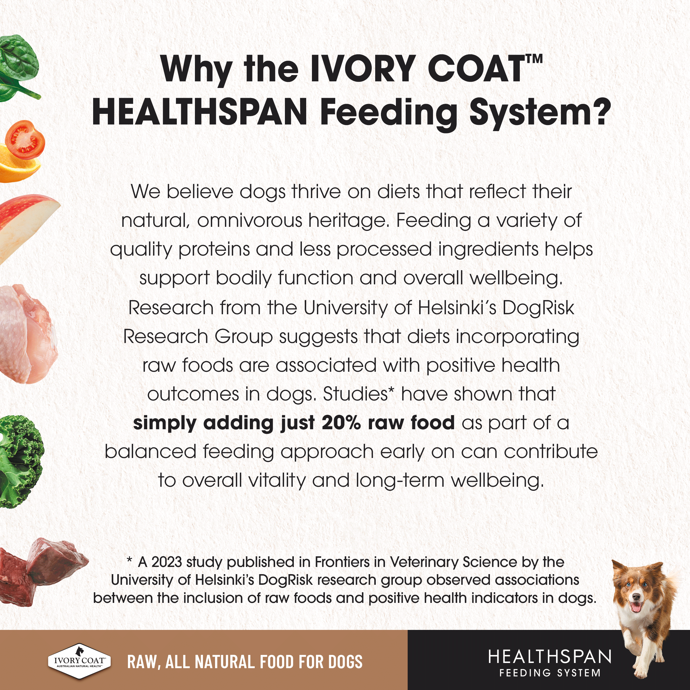 Ivory Coat Raw Diet Limited Protein Diet 12 x 227g