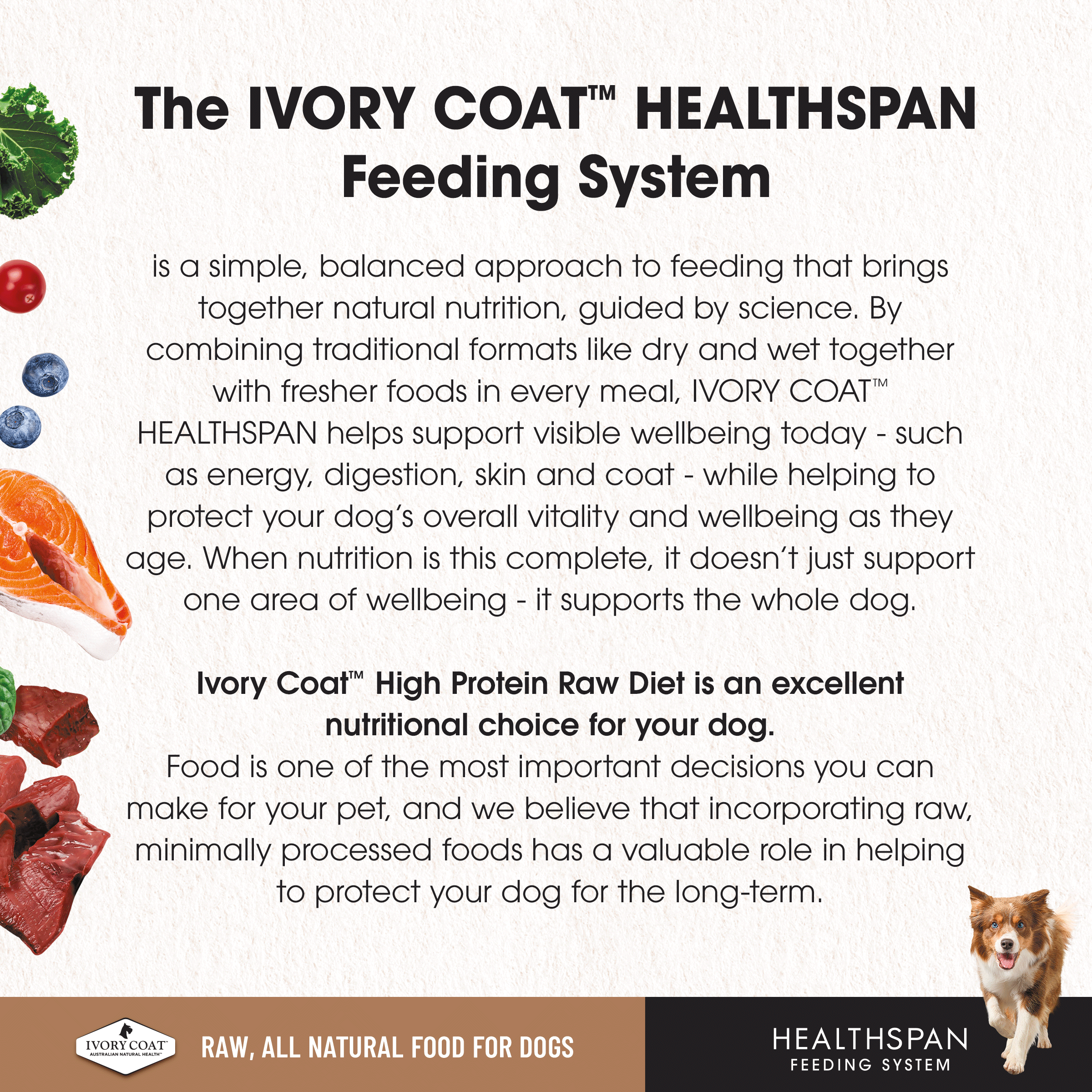 Ivory Coat Raw Diet Limited Protein Diet 12 x 227g