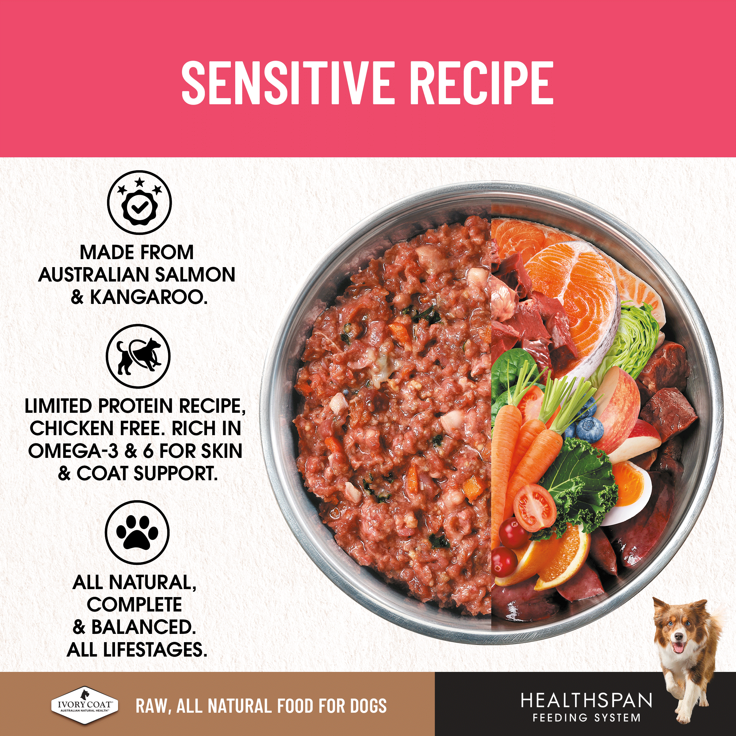 Ivory Coat Raw Diet Sensitive Recipe 12 x 227g