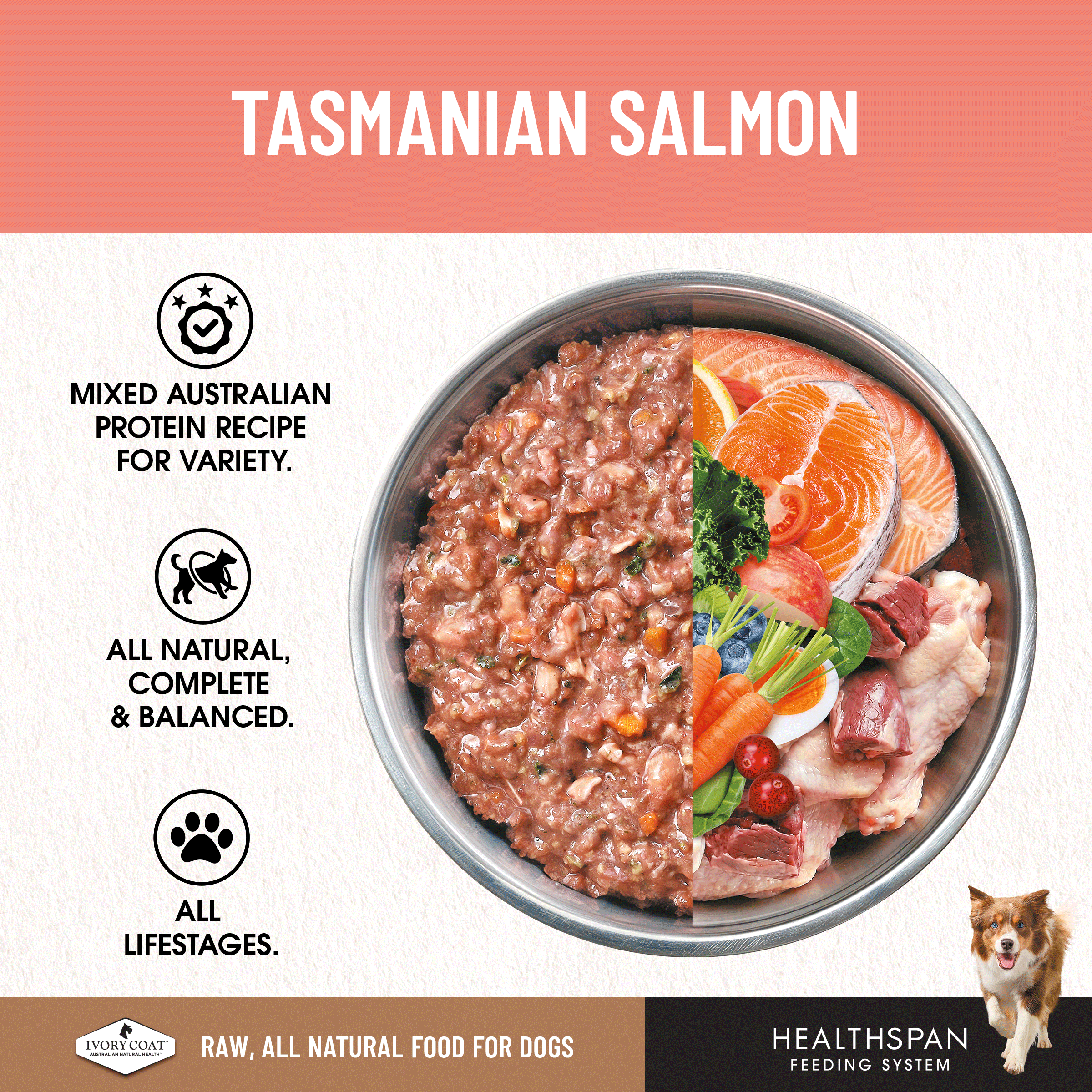 Ivory Coat Raw Diet Tasmanian Salmon 12 x 227g