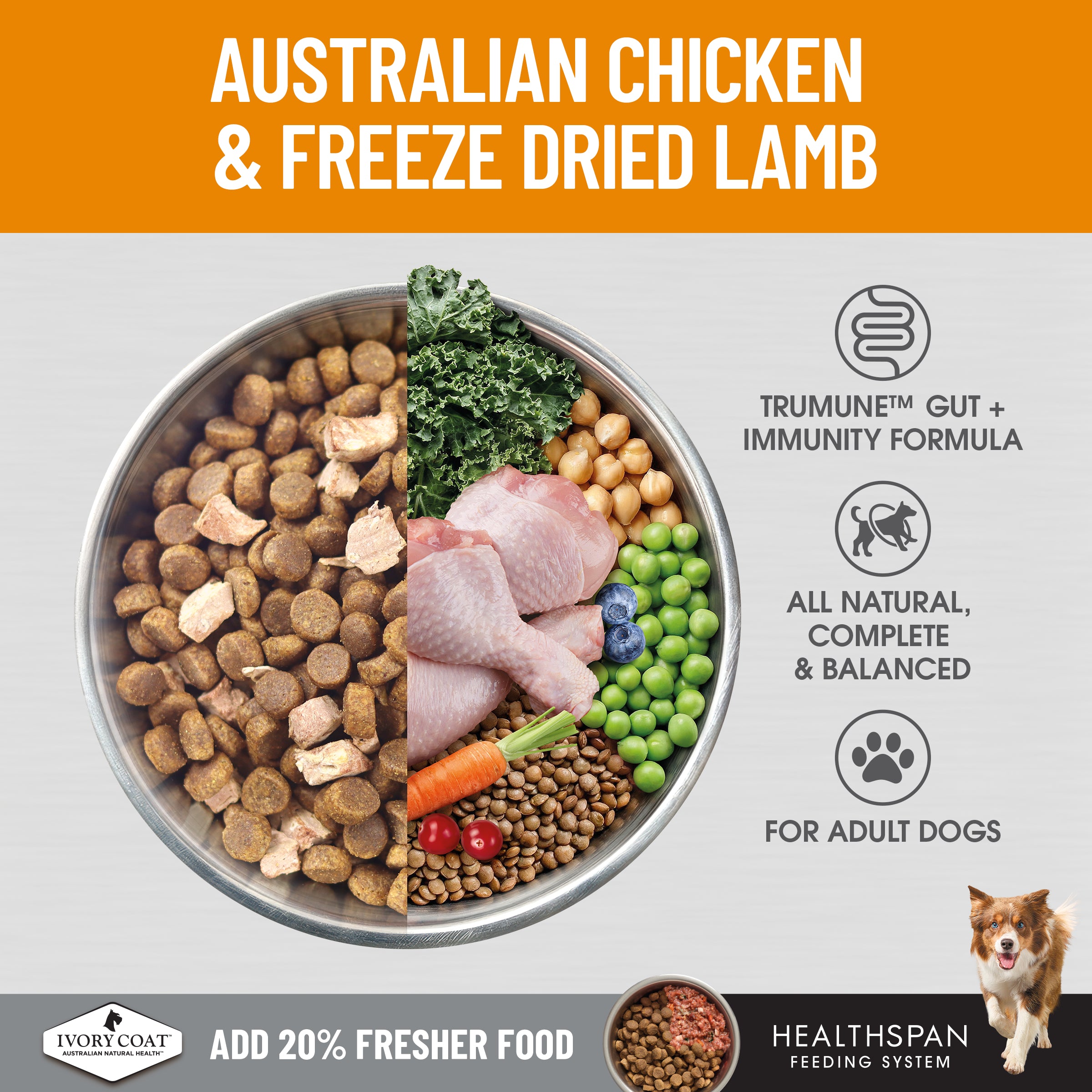 Ivory Coat Raw Health Dry Dog Food Gut Health 10kg