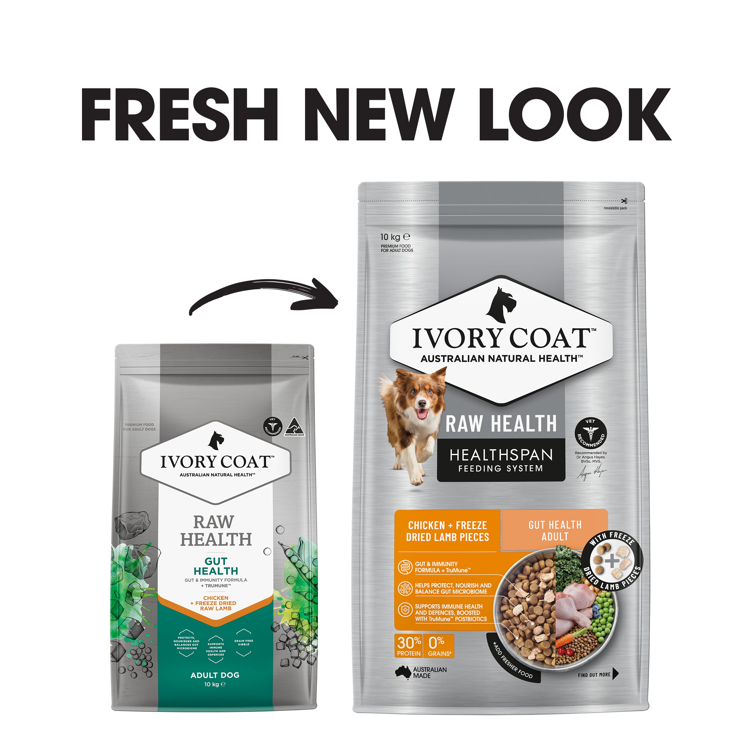 Ivory Coat Raw Health Dry Dog Food Gut Health 10kg