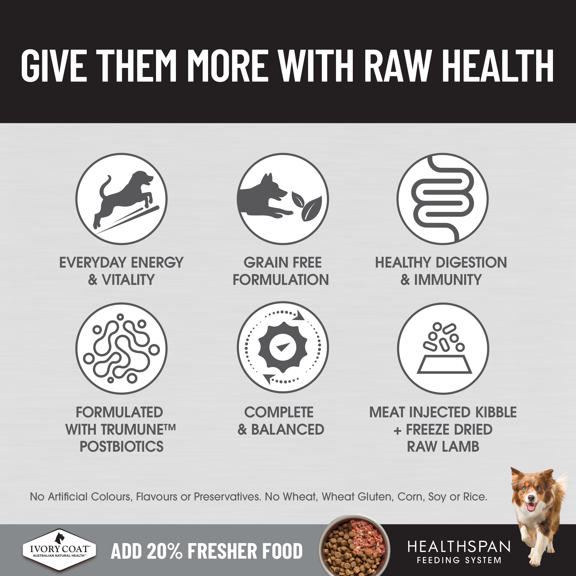 Ivory Coat Raw Health Dry Dog Food Gut Health 10kg