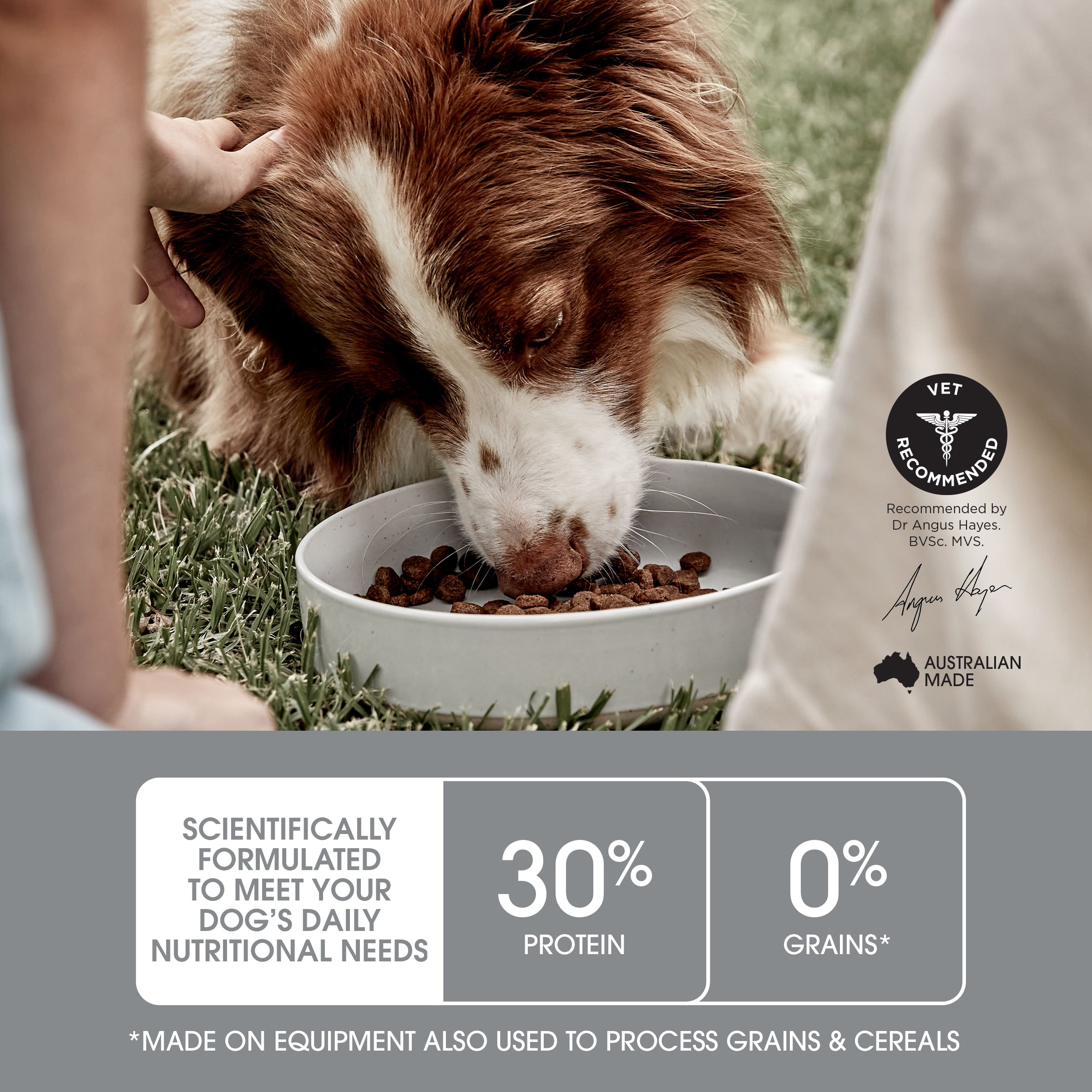 Ivory Coat Raw Health Dry Dog Food Gut Health 10kg