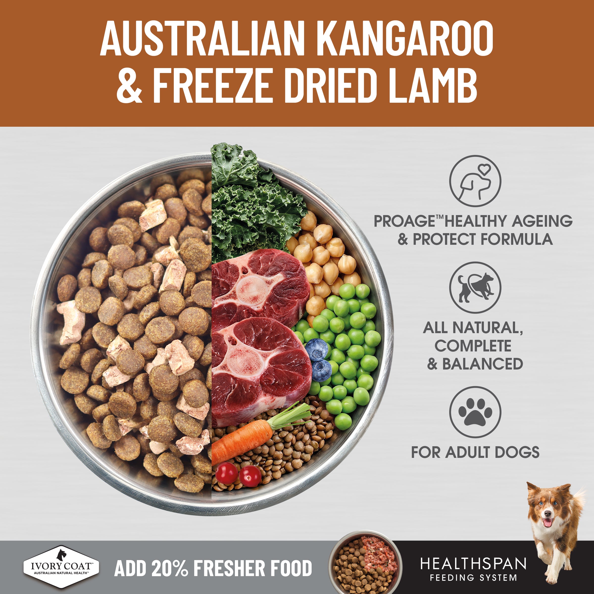 Ivory Coat Raw Health Dry Dog Food Health and Vitality 10kg