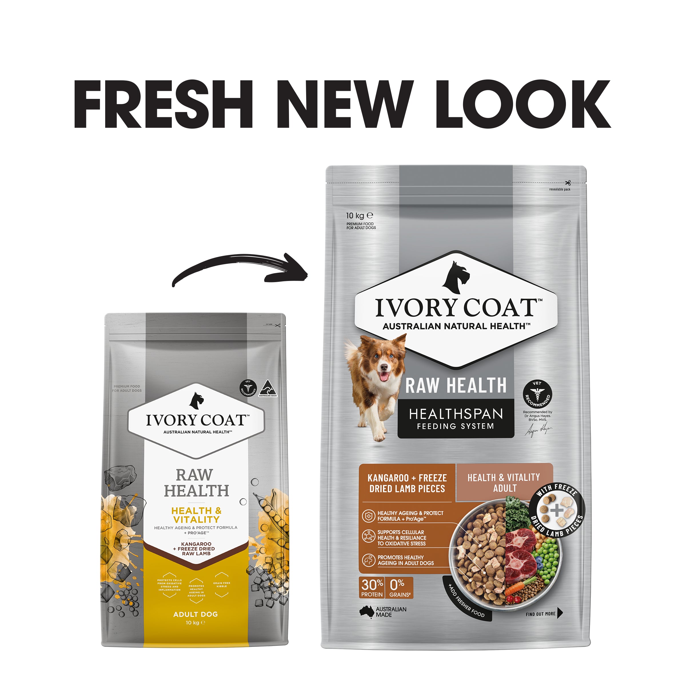 Ivory Coat Raw Health Dry Dog Food Health and Vitality 10kg