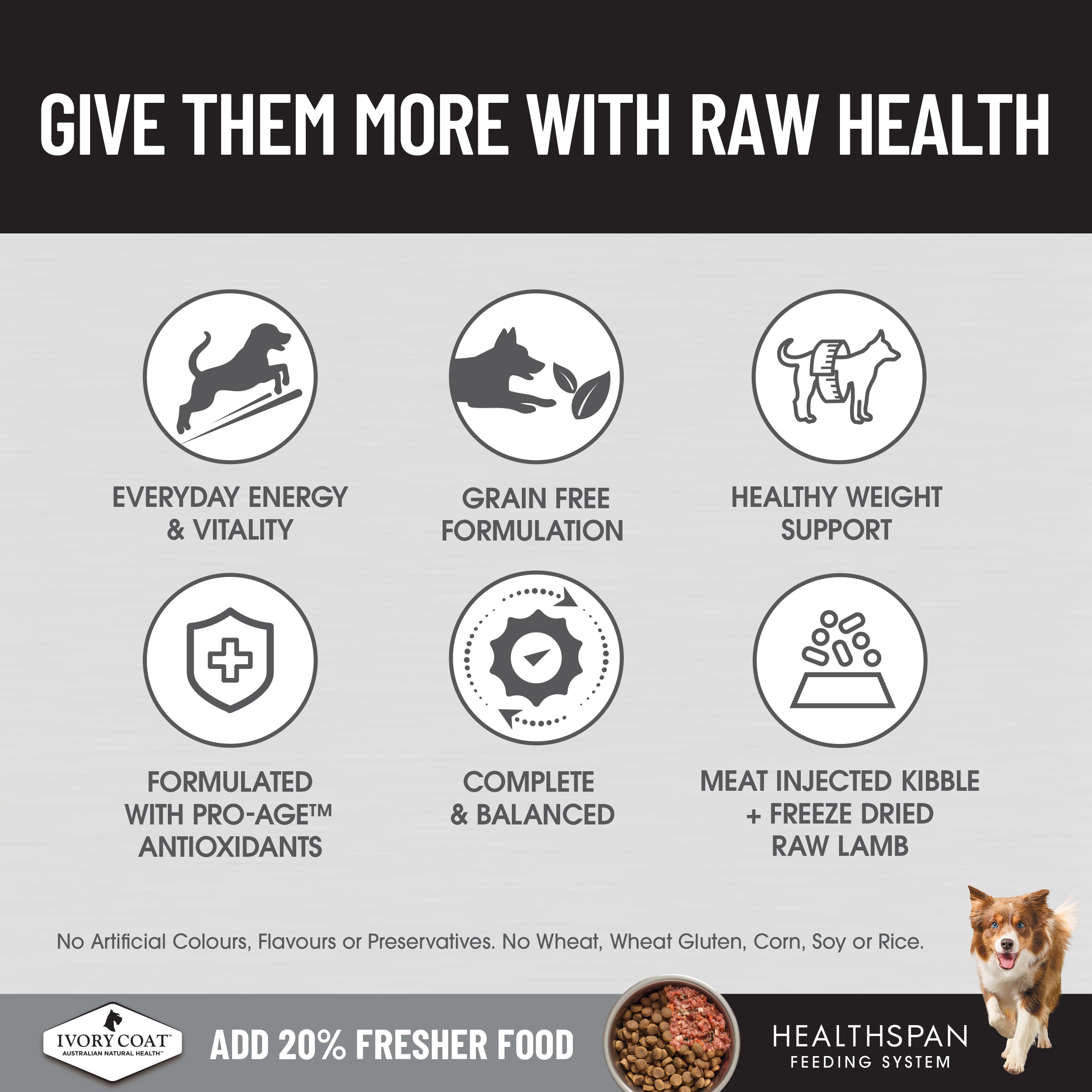 Ivory Coat Raw Health Dry Dog Food Health and Vitality 10kg