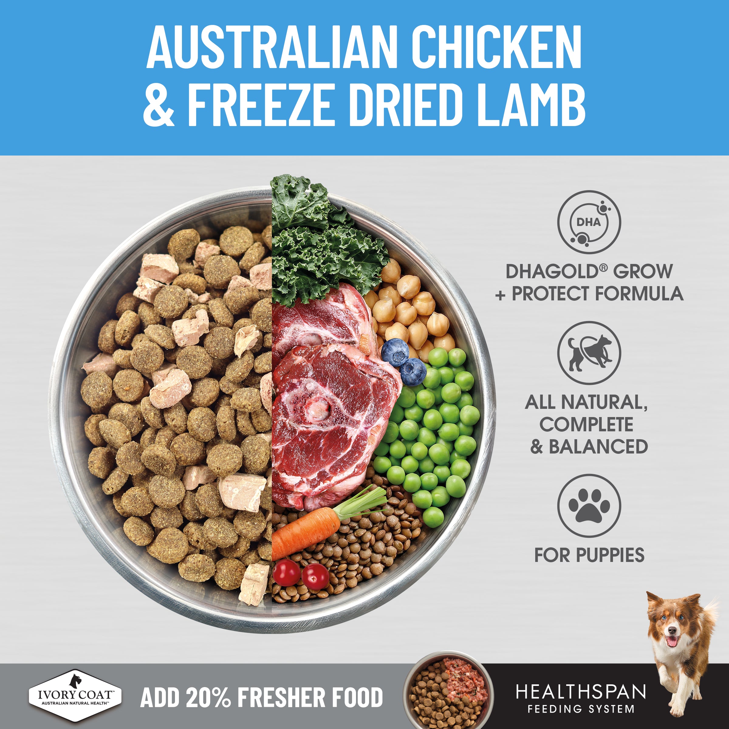 Ivory Coat Raw Health Dry Dog Food Puppy Immunity 10kg