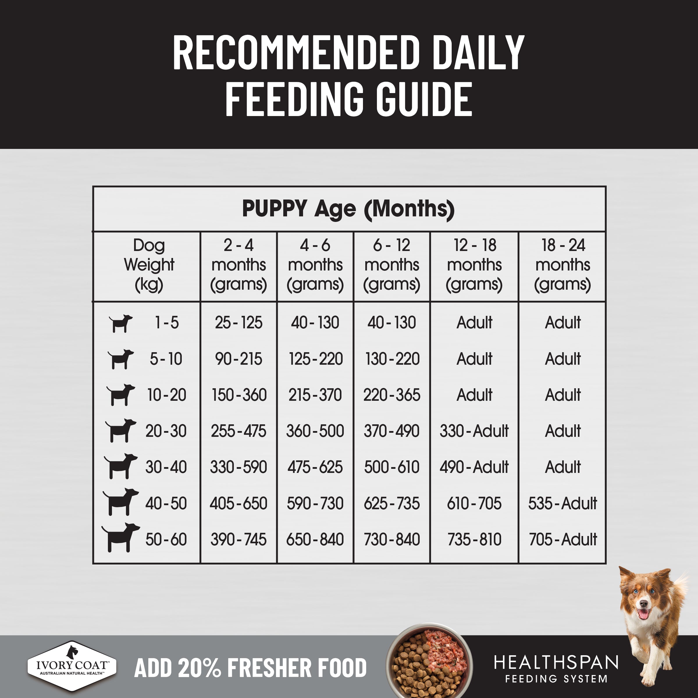 Ivory Coat Raw Health Dry Dog Food Puppy Immunity 10kg