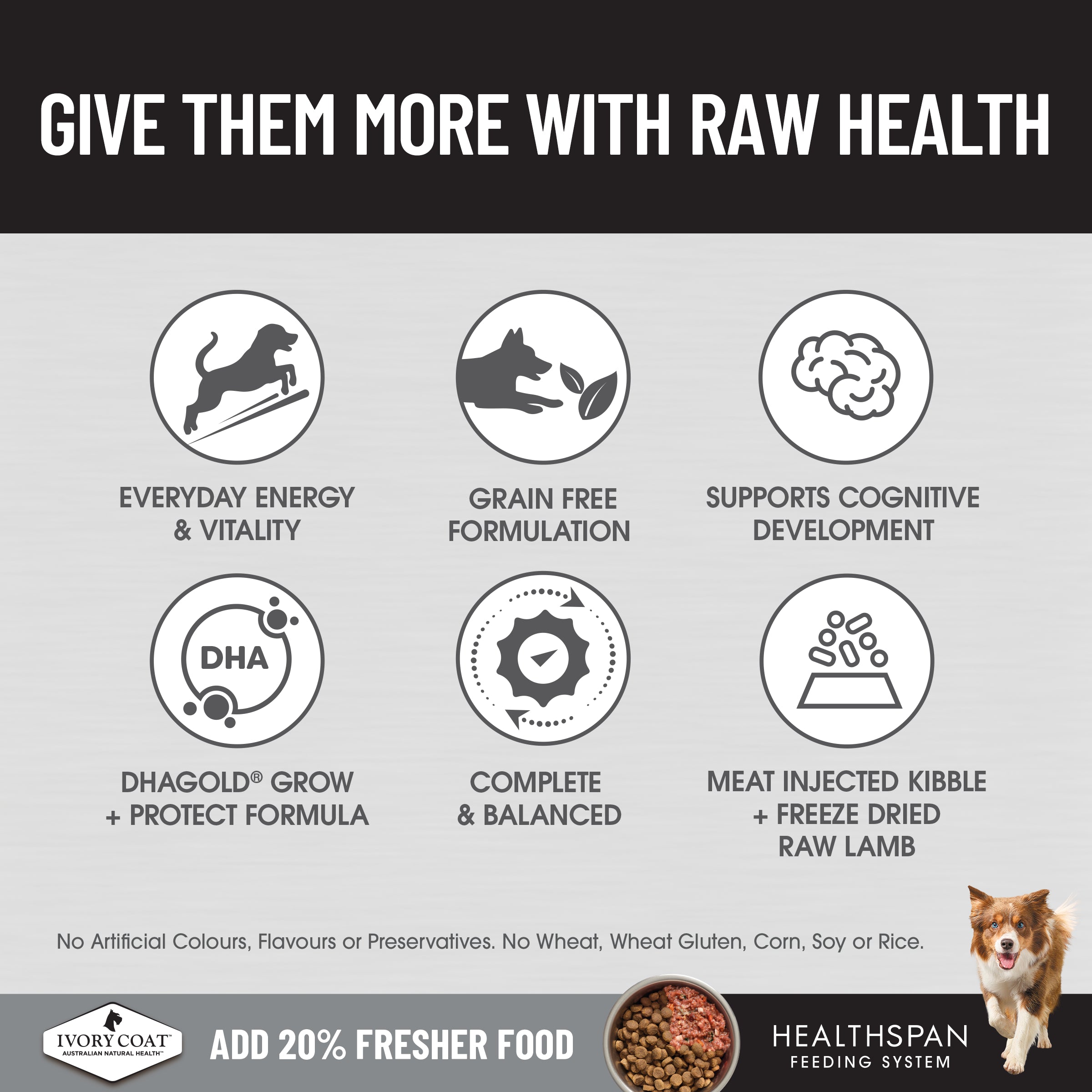 Ivory Coat Raw Health Dry Dog Food Puppy Immunity 10kg