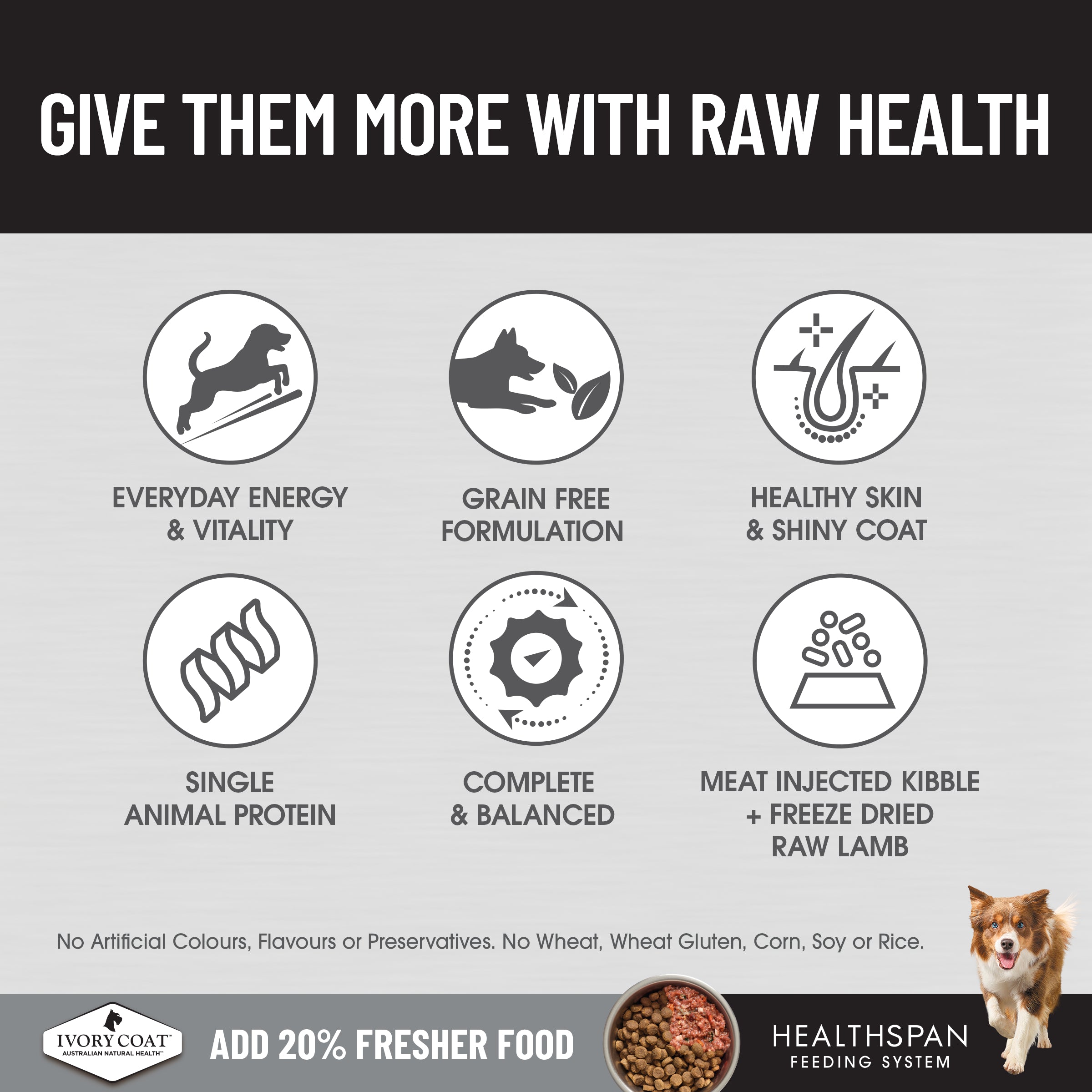 Ivory Coat Raw Health Dry Dog Food Sensitive Care 10kg