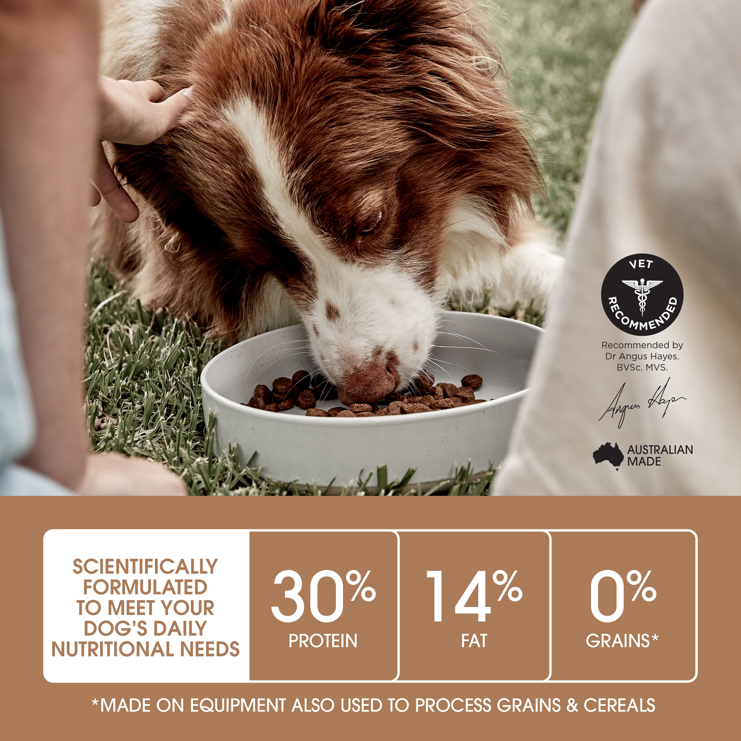 IVORY COAT Grain Free Adult Dry Dog Food Lamb & Kangaroo 13kg