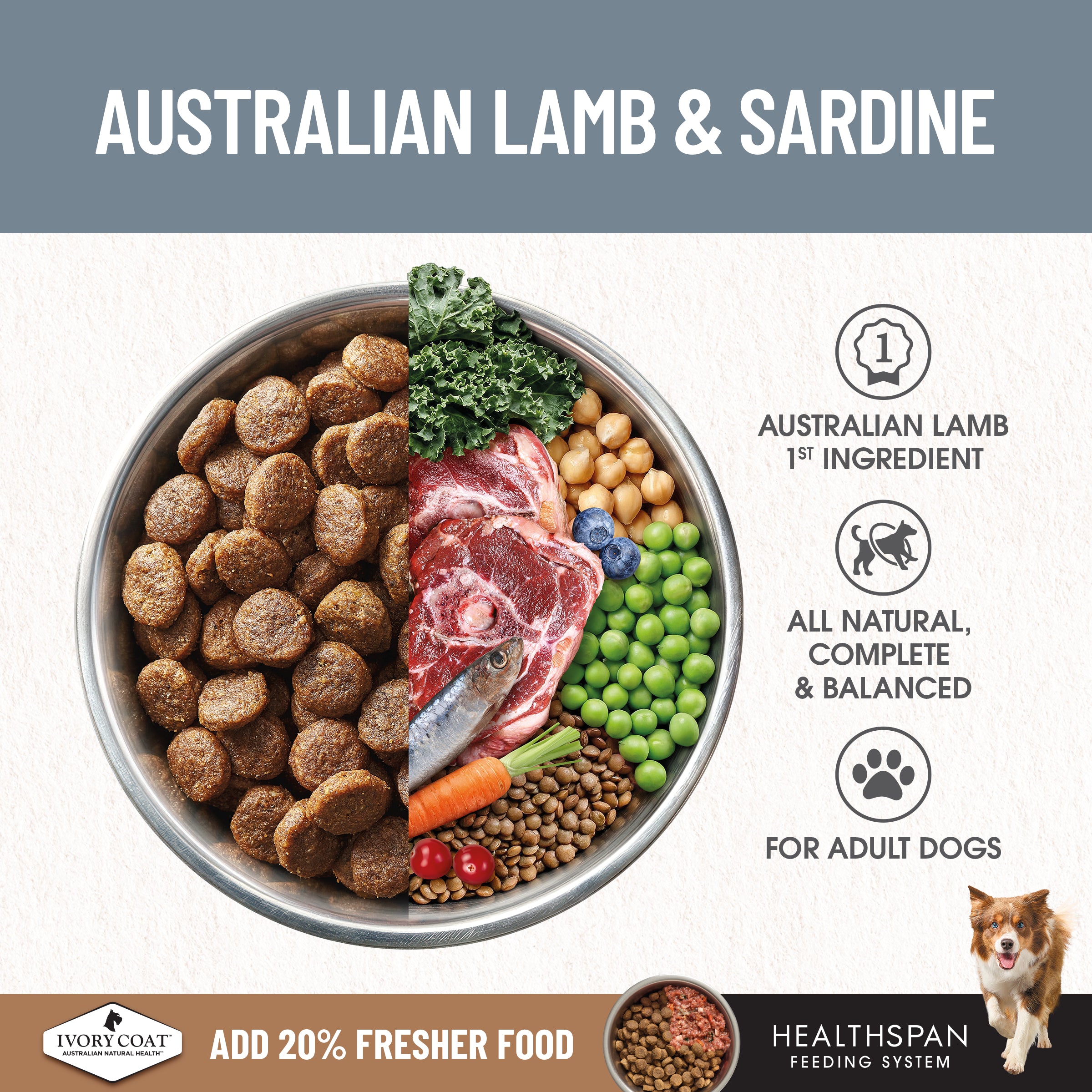 IVORY COAT Grain Free Adult Dry Dog Food Lamb & Sardine 13kg