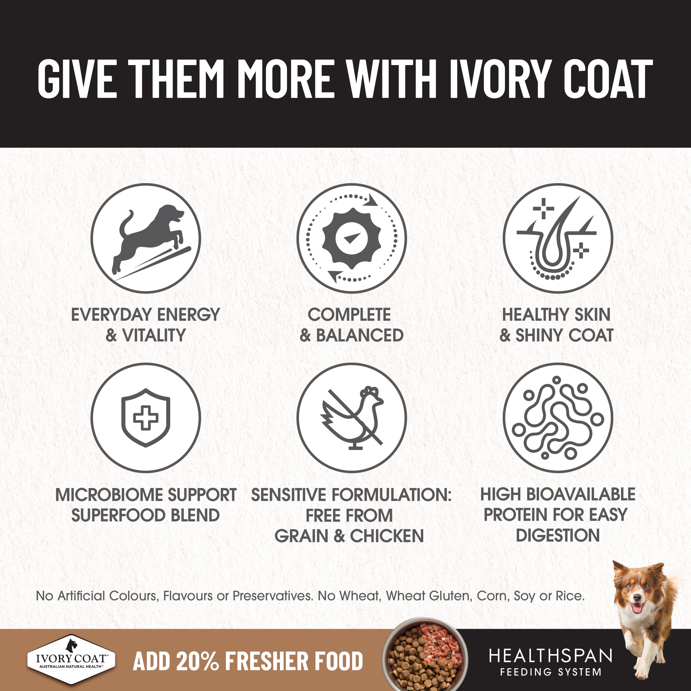 IVORY COAT Grain Free Adult Dry Dog Food Salmon & Ocean Fish 13kg