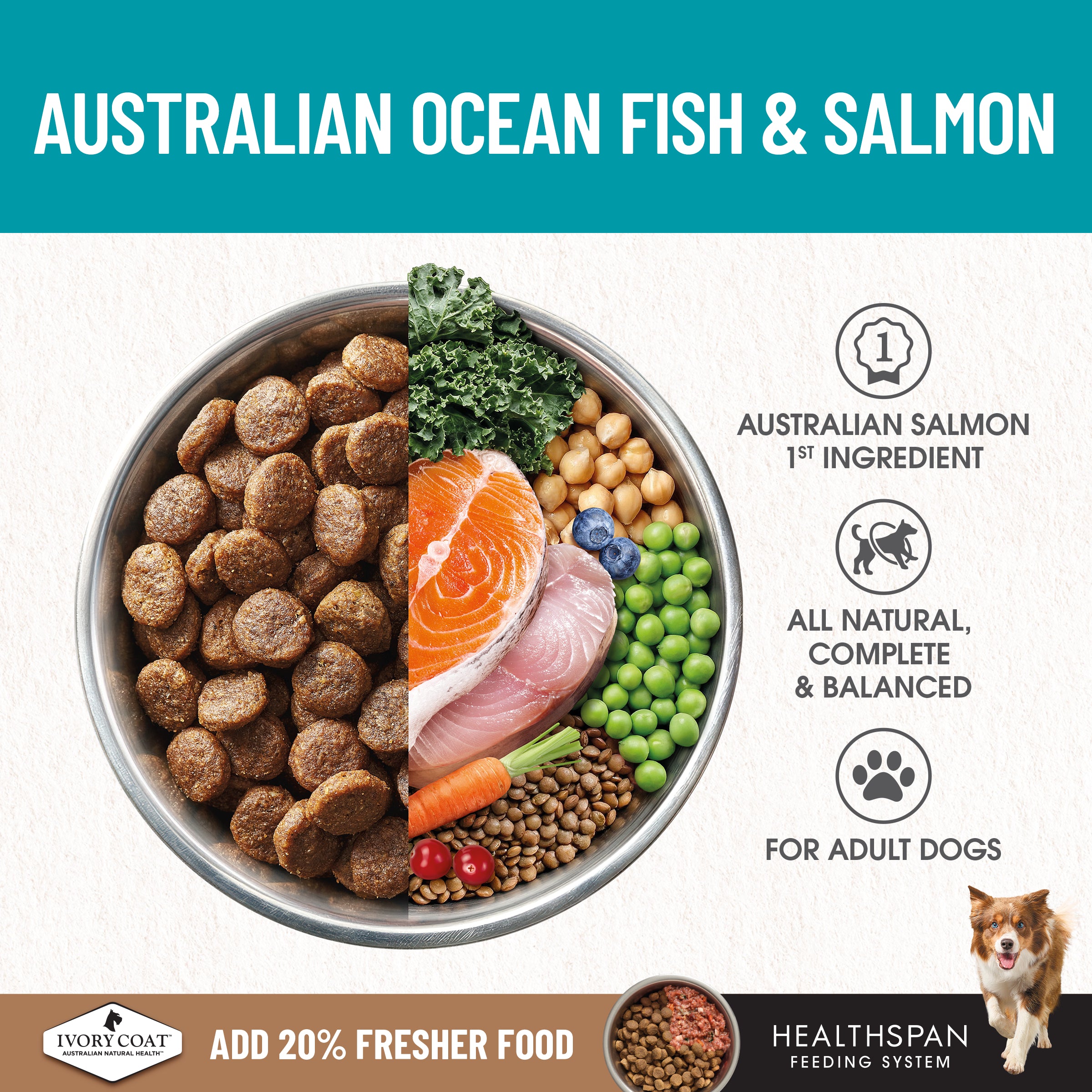 IVORY COAT Grain Free Adult Dry Dog Food Salmon & Ocean Fish 2kg