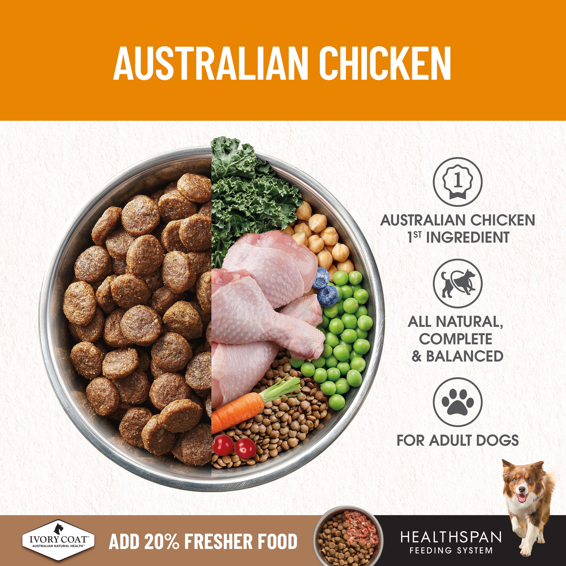 IVORY COAT Grain Free Healthy Weight Chicken Adult Dog Dry Food 2kg