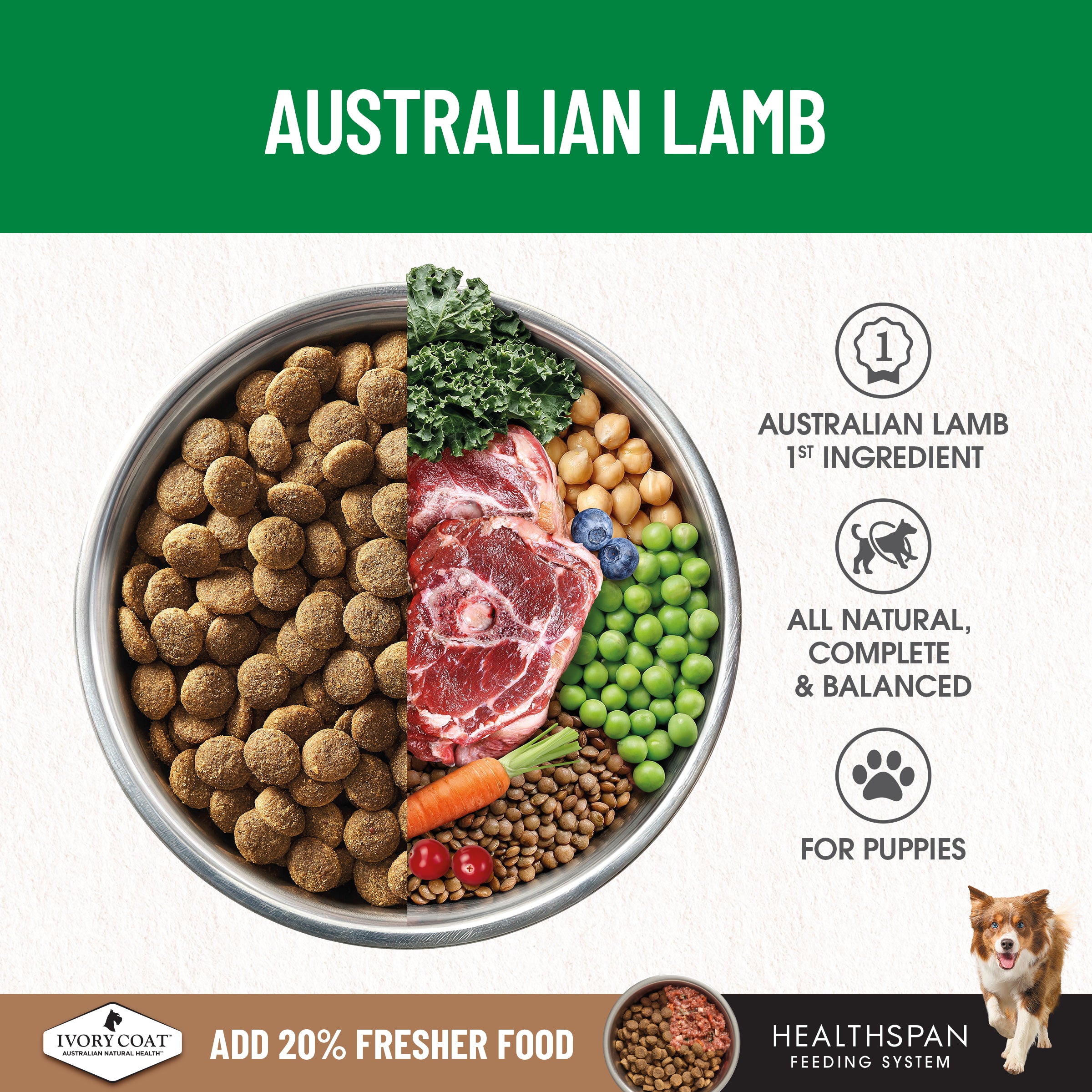 IVORY COAT Grain Free Large Breed Dry Puppy Food Lamb 13kg