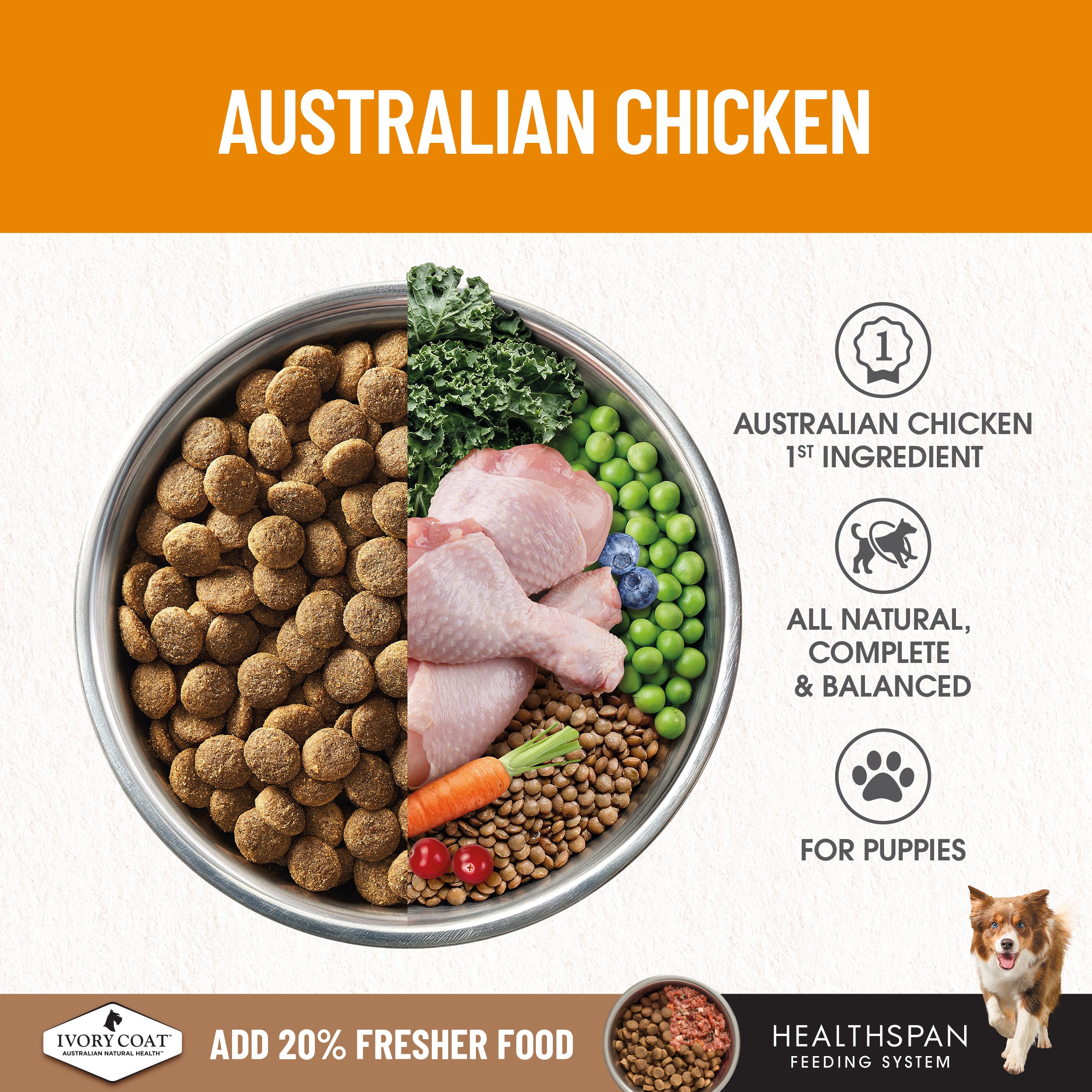 IVORY COAT Grain Free Dry Puppy Food Chicken 2kg