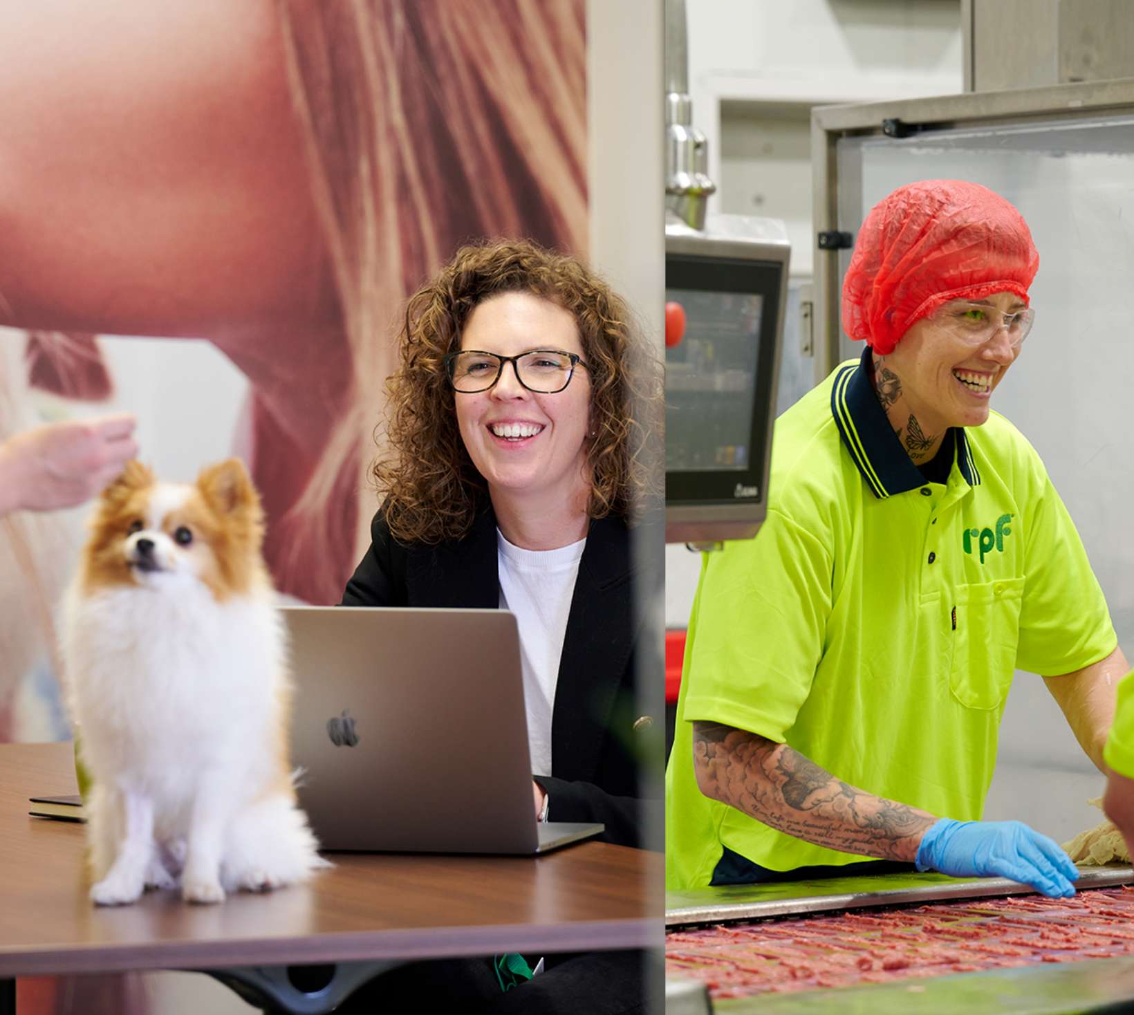 Social Responsibility Real Pet Food Company social-responsibility-real-pet-food-company