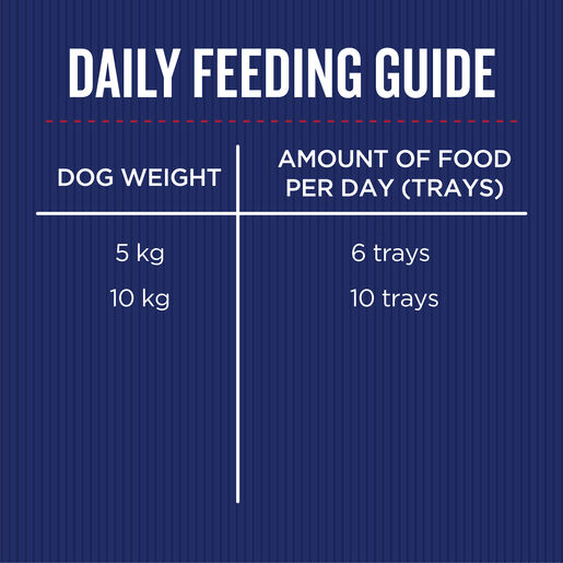 Farmers Market Roast Beef with Carrots, Peas and Chia Adult Wet Dog Food 100g