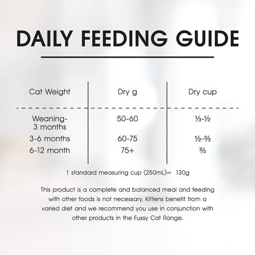 Per Day What Do You Feed A Week Old Kitten Feeding Schedule How