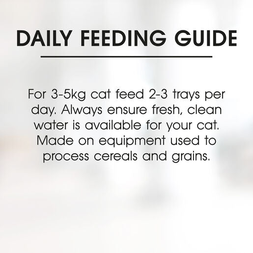 Fussy Cat Grain Free Kangaroo & Chicken with Carrots Wet Cat Food 85g