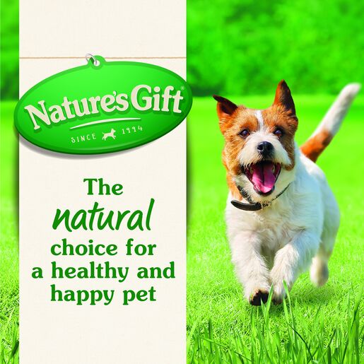 Nature's Gift Loaf Succulent Lamb Adult Wet Dog Food 100g x 6 Pack