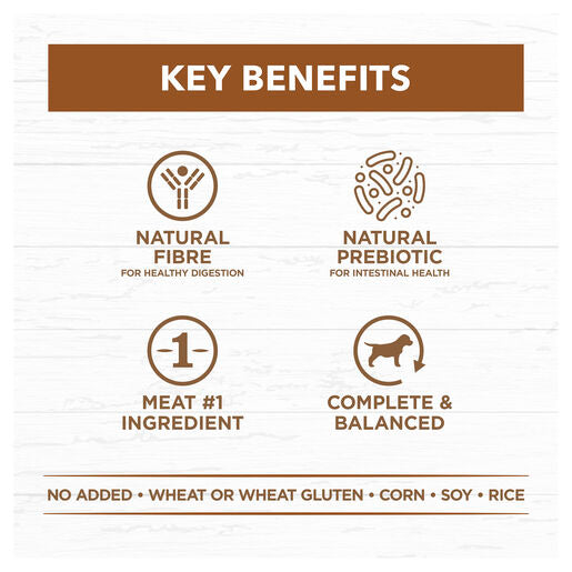 IVORY COAT Grain Free Adult Wet Dog Food Lamb & Kangaroo Stew 400g