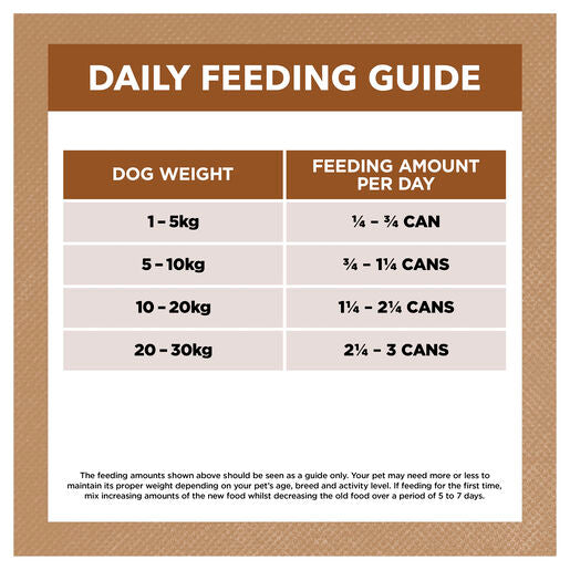 IVORY COAT Grain Free Adult Wet Dog Food Lamb & Kangaroo Stew 400g