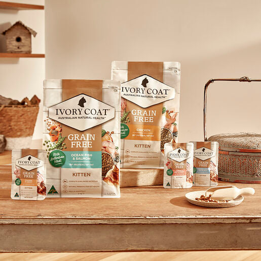 IVORY COAT Grain Free Kitten Wet Food Chicken in Gravy 85g