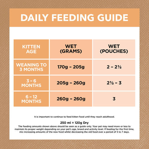 IVORY COAT Grain Free Kitten Wet Food Chicken in Gravy 85g